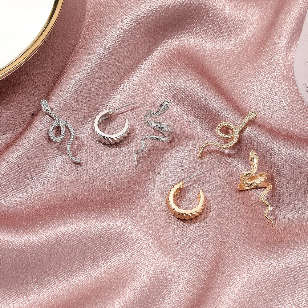Snake Earrings Set