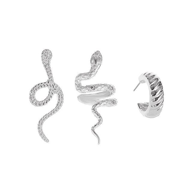 Snake Earrings Set