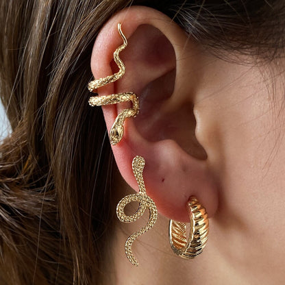 Snake Earrings Set